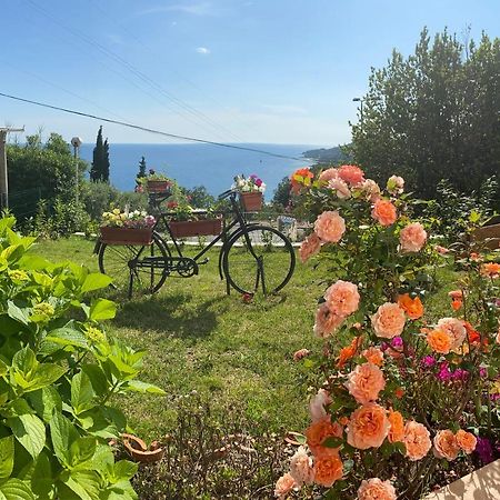 Villa Pergola -Apartment Roko Млини Экстерьер фото