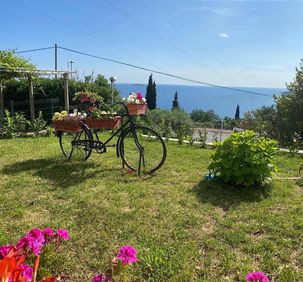 Villa Pergola -Apartment Roko Млини Экстерьер фото